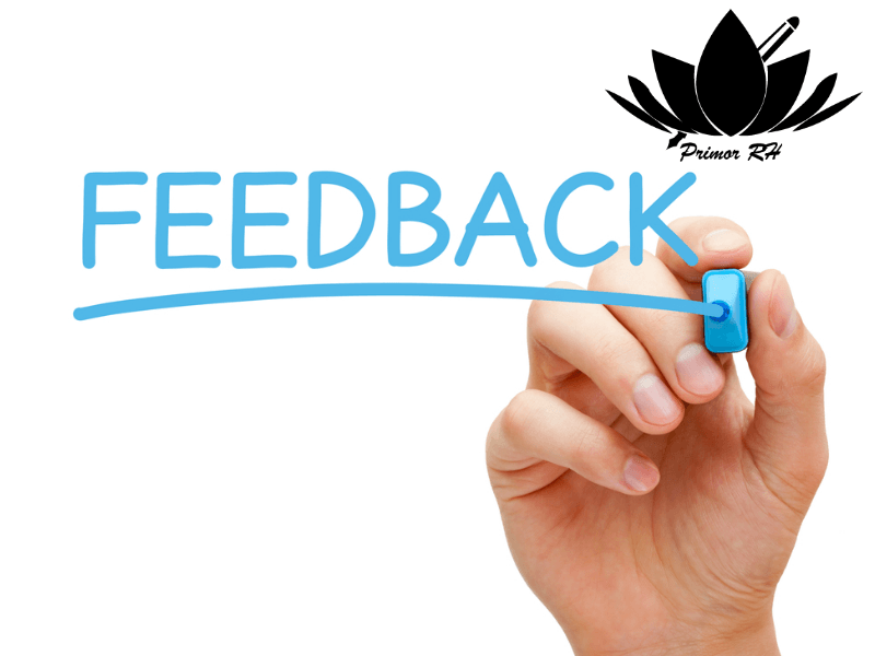 Feedback Corporativo